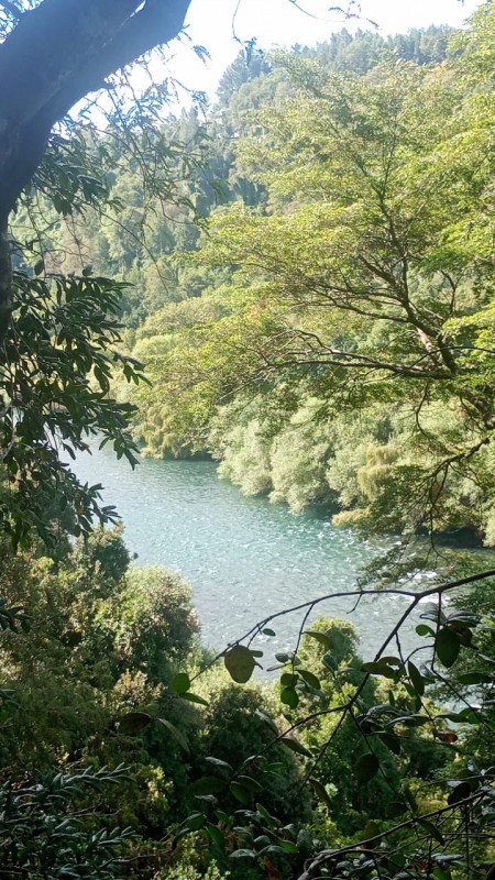 Parcelas Con Vista Al Río Toltén