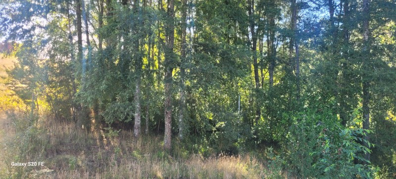 Parcela Con Casa y Cabaña