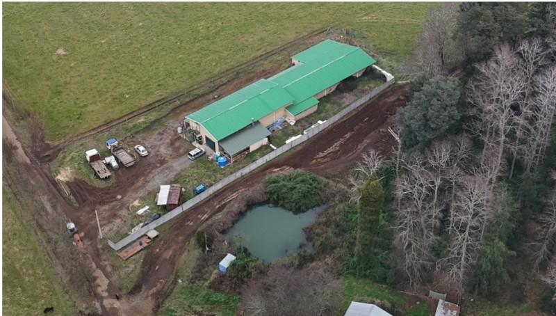 Campo Ganadero Actual Lechería y Quesería