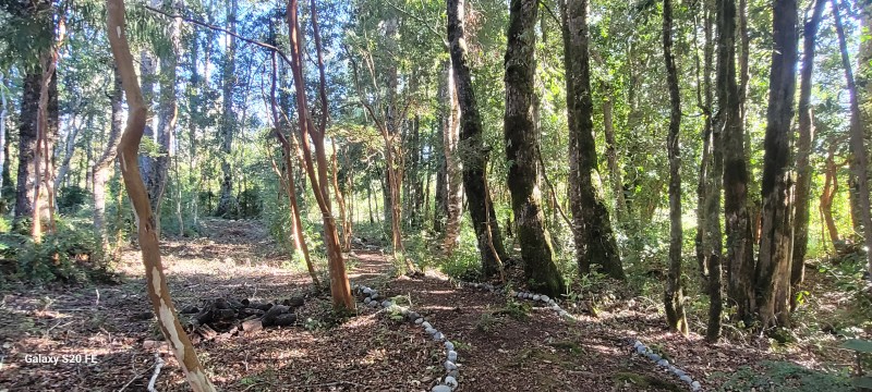 Hermosa Parcela Con Casa y 2 Cabañas