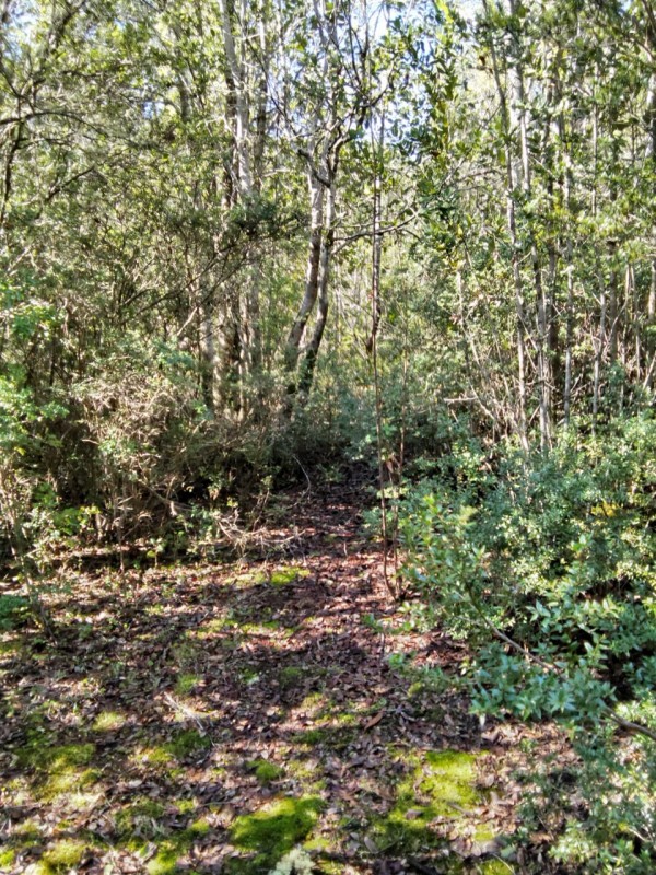 Se Vende Parcela de 5.000 M²