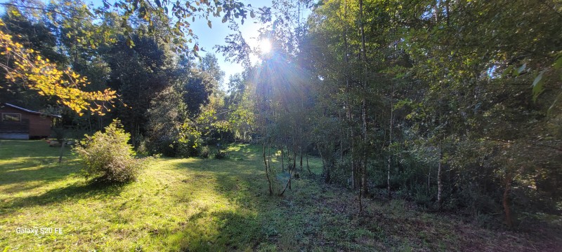 Hermosa Parcela Con Casa y 2 Cabañas