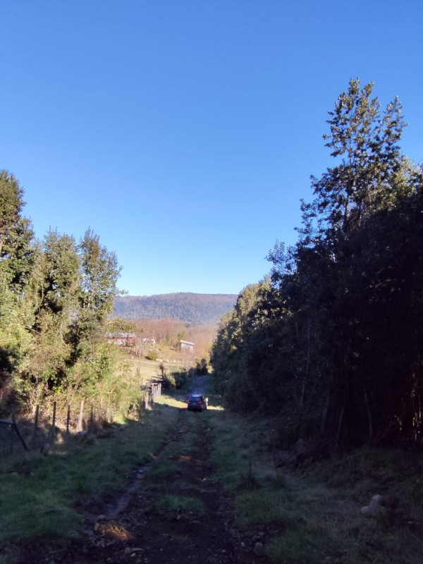 Se Vende Parcela de 5.000 M²