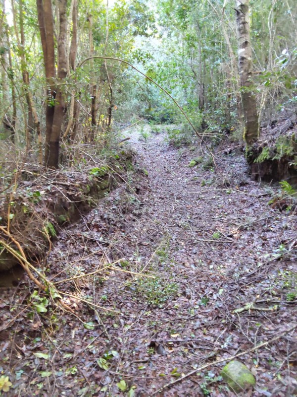 Se Vende Parcela de 5.000 M²