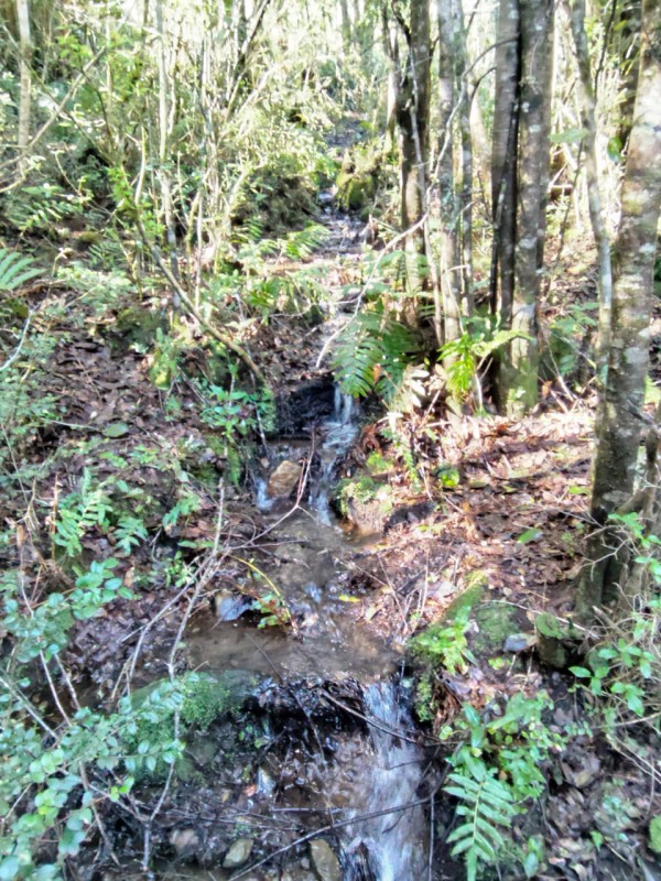 Se Vende Parcela de 5.000 M²