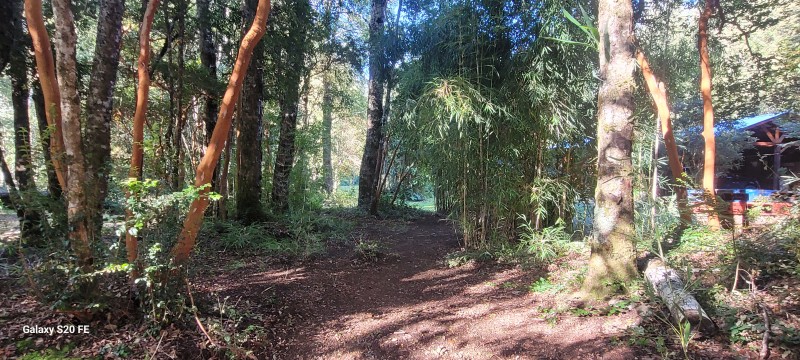 Hermosa Parcela Con Casa y 2 Cabañas