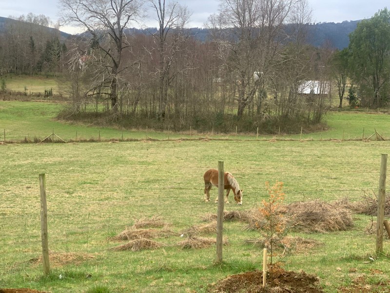 Se Vende Parcela Sector Vegas de Lessio