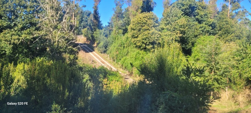 Parcela Con Casa y Cabaña