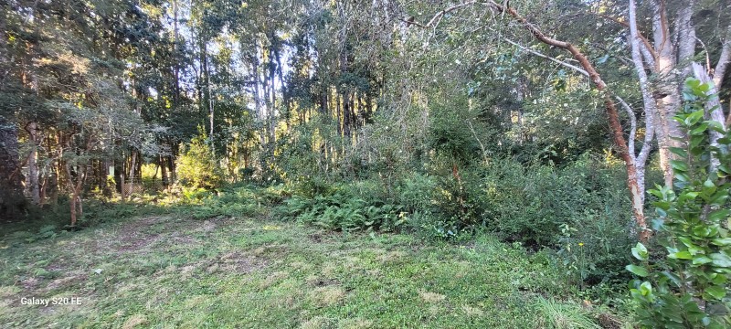 Hermosa Parcela Con Casa y 2 Cabañas