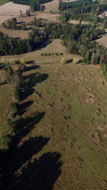 Fundo 69 Ha. A 5Km de Vrca: Plano, Luz, Derechos Agua y Rio
