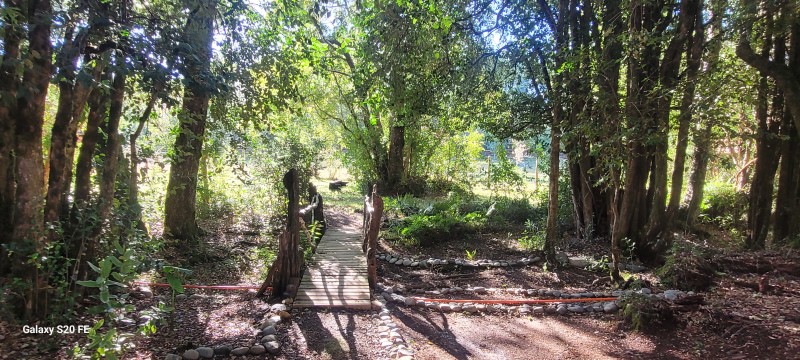 Hermosa Parcela Con Casa y 2 Cabañas