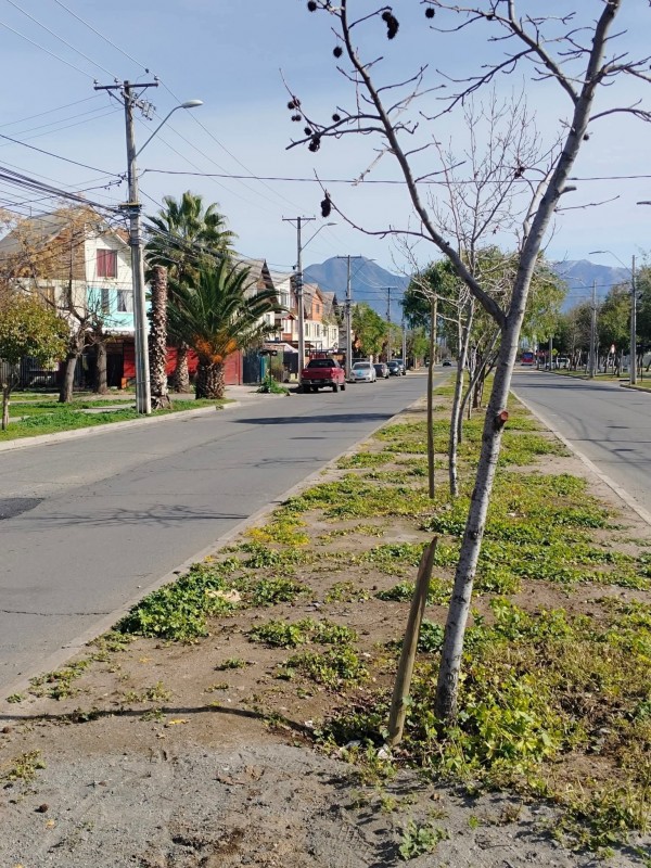 Casa en Venta en Avenida Río Loco