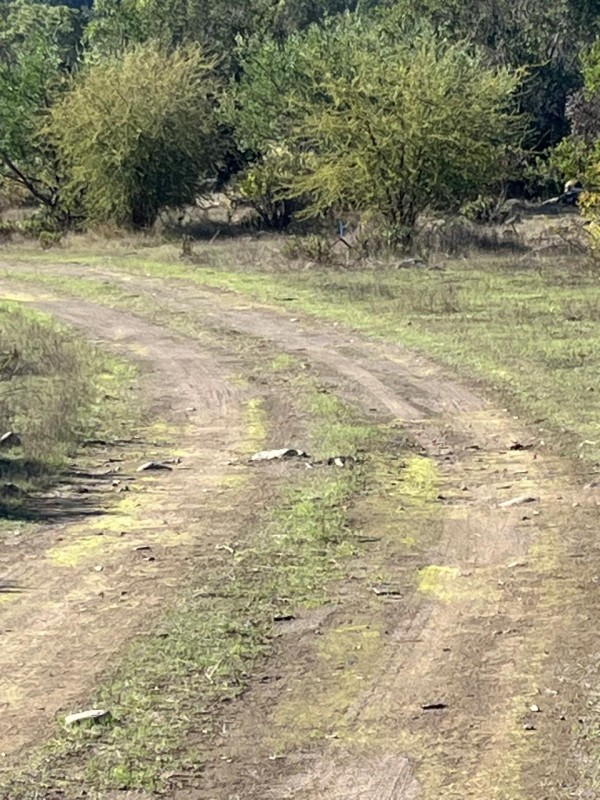 Parcelas desde M$22.000 A 10 Km Salto la Leona 15 Km Radal.