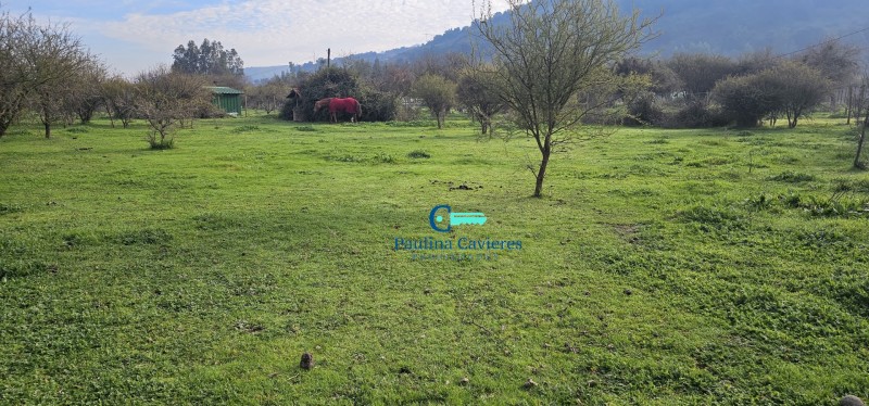 Hermosa Parcela los Maitenes Km 10 Camino Zapallar Curicó