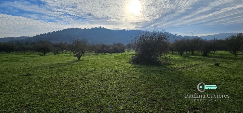 Hermosa Parcela los Maitenes Km 10 Camino Zapallar Curicó