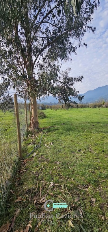 Hermosa Parcela los Maitenes Km 10 Camino Zapallar Curicó