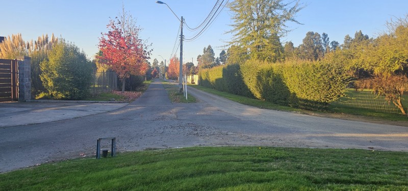 Parcela 10000 M2 Loteo Consolidado Km 1 Zapallar Curicó