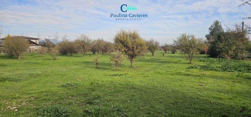 Hermosa Parcela los Maitenes Km 10 Camino Zapallar Curicó