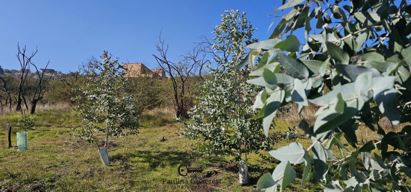 Vendo Hermosa Casa en Cerro los Cristales, Curicó