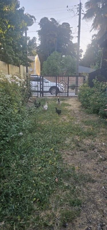 Vendo Sitio Urbano en Lontue, Excelente Ubicación