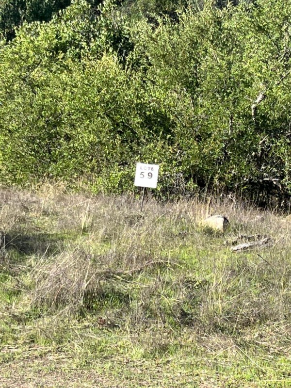 Parcelas desde M$22.000 A 10 Km Salto la Leona 15 Km Radal.