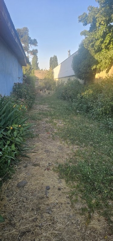 Vendo Sitio Urbano en Lontue, Excelente Ubicación