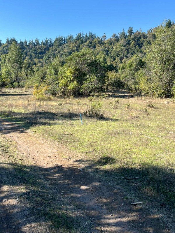 Parcelas desde M$22.000 A 10 Km Salto la Leona 15 Km Radal.