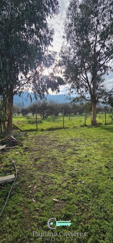 Hermosa Parcela los Maitenes Km 10 Camino Zapallar Curicó