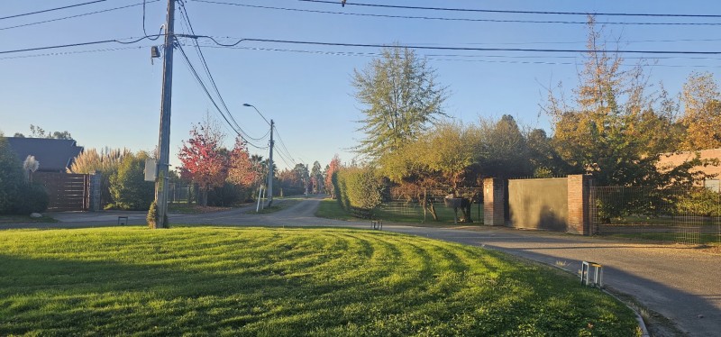 Parcela 10000 M2 Loteo Consolidado Km 1 Zapallar Curicó