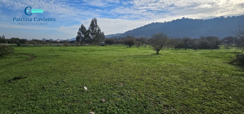 Hermosa Parcela los Maitenes Km 10 Camino Zapallar Curicó