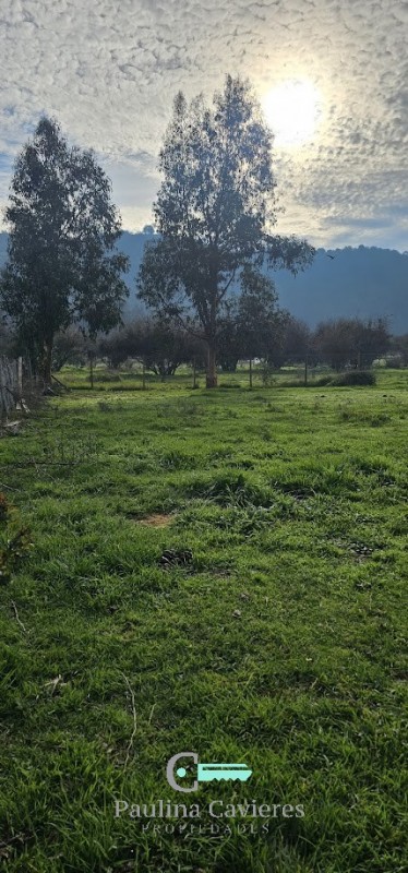 Hermosa Parcela los Maitenes Km 10 Camino Zapallar Curicó
