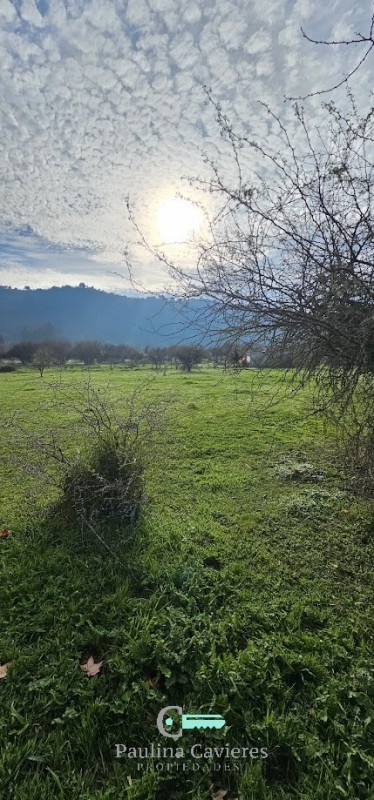 Hermosa Parcela los Maitenes Km 10 Camino Zapallar Curicó