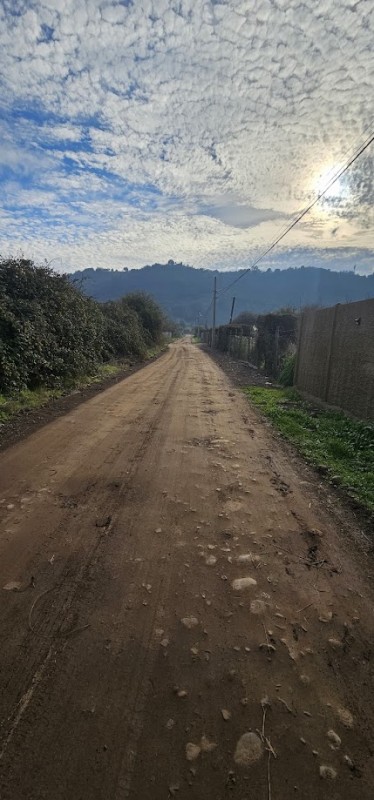 Hermosa Parcela los Maitenes Km 10 Camino Zapallar Curicó