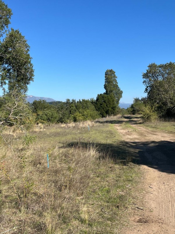 Parcelas desde M$22.000 A 10 Km Salto la Leona 15 Km Radal.