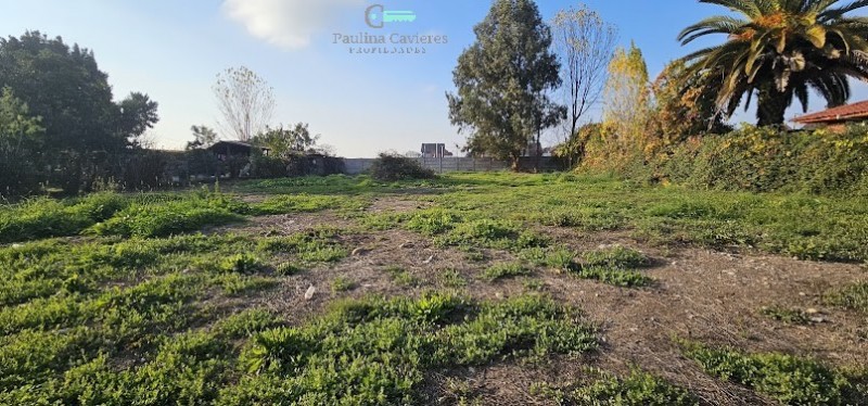 Vendo Y/o Arriendo Terreno Molina 1362 M2 A Metros Hospital