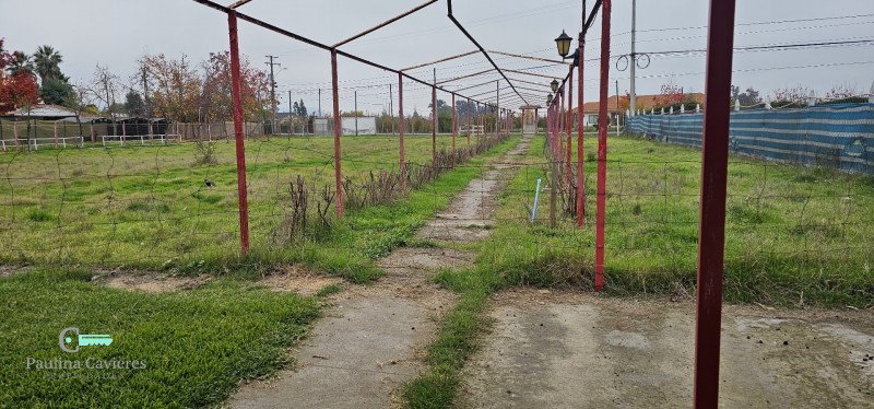 Vendo Propiedad en Rauco, Sector el Plumero Orilla Camino