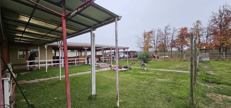 Vendo Propiedad en Rauco, Sector el Plumero Orilla Camino