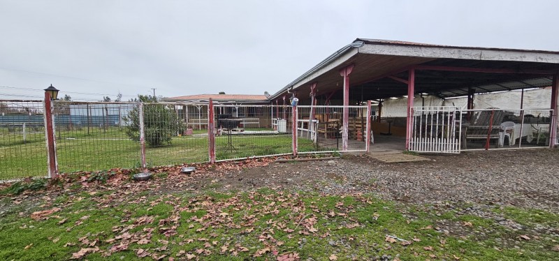 Vendo Propiedad en Rauco, Sector el Plumero Orilla Camino