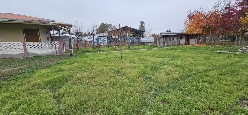 Vendo Propiedad en Rauco, Sector el Plumero Orilla Camino