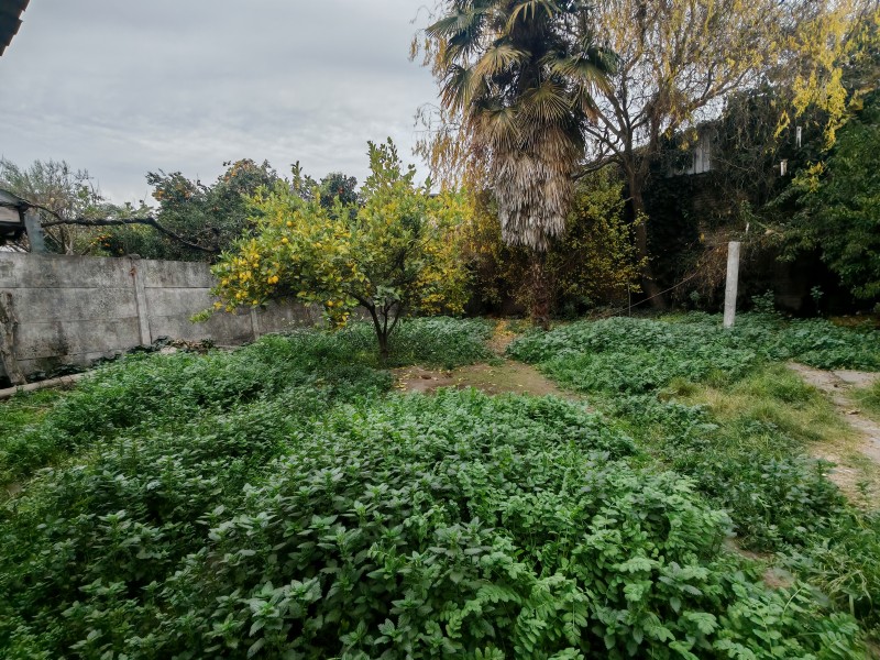 Amplia Casa Con Gran Terreno y Excelente Ubicación