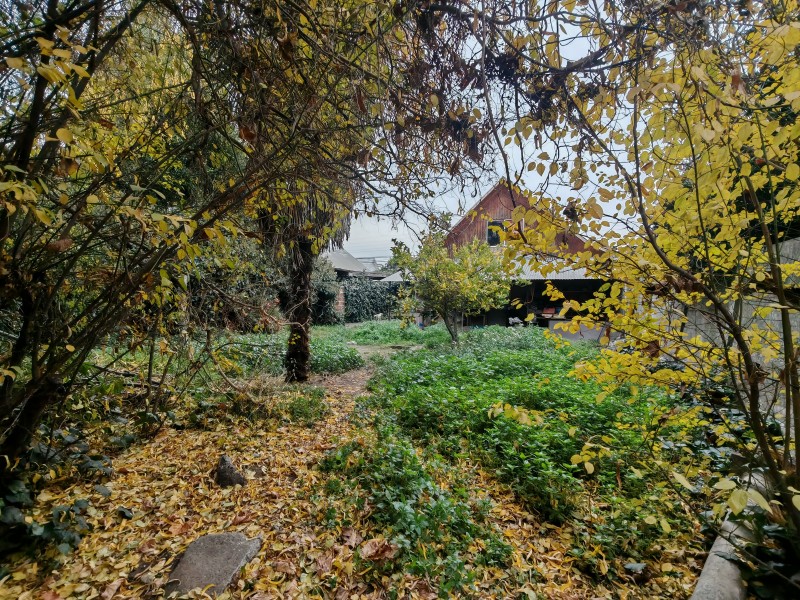 Amplia Casa Con Gran Terreno y Excelente Ubicación