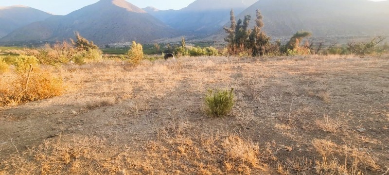 Venta de Terreno Chillepín, Salamanca (Cód. 2135)