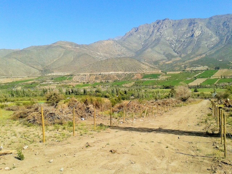 Venta de Terreno, Chillepín, Salamanca (Cód. 2152)