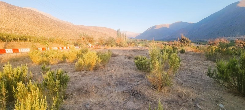 Venta de Terreno Chillepín, Salamanca (Cód. 2135)