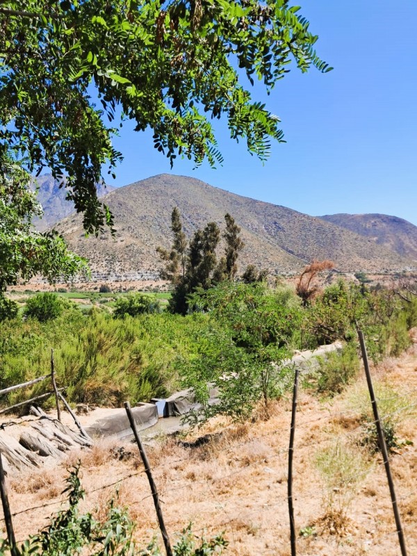 Venta de Terreno Chillepín, Salamanca (Cód. 2135)