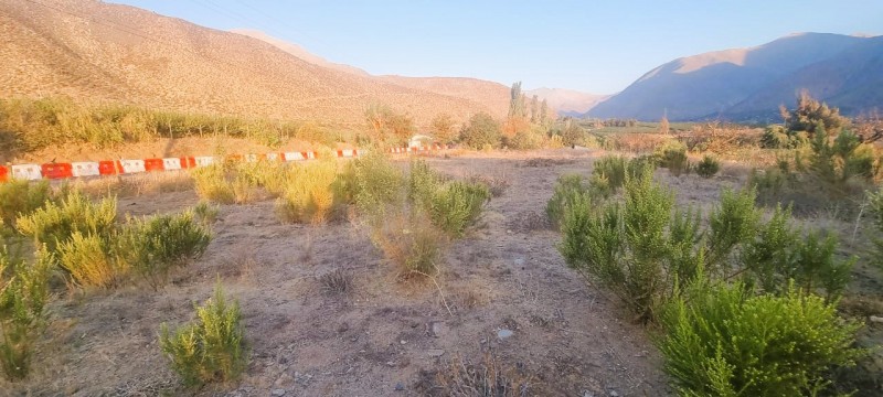 Venta de Terreno Chillepín, Salamanca (Cód. 2135)