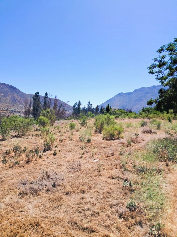 Venta de Terreno Chillepín, Salamanca (Cód. 2135)