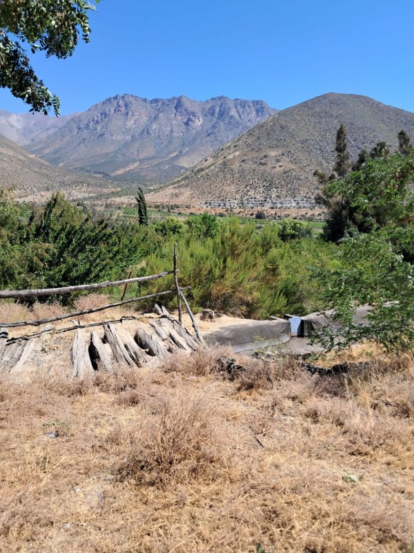 Venta de Terreno Chillepín, Salamanca (Cód. 2135)