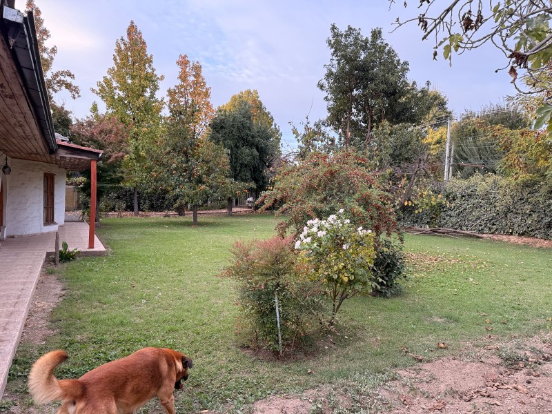 en Venta Parcela Con Casa Ubicada en Camino Real Graneros