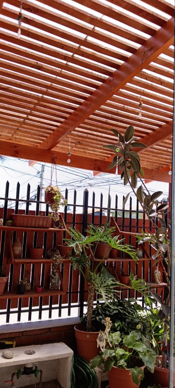 Casa los Avellanos 2